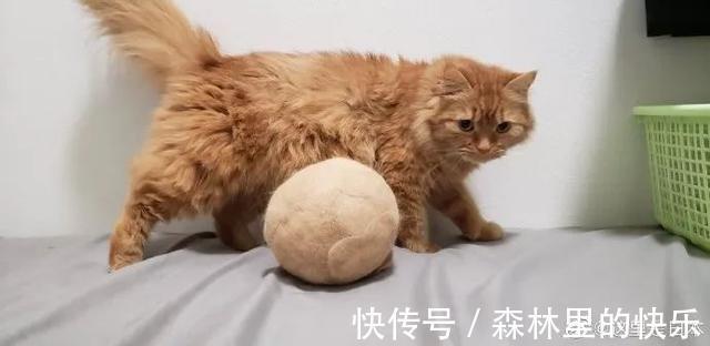 |男朋友:我太难了 冷段子1381 & 去年今日1071