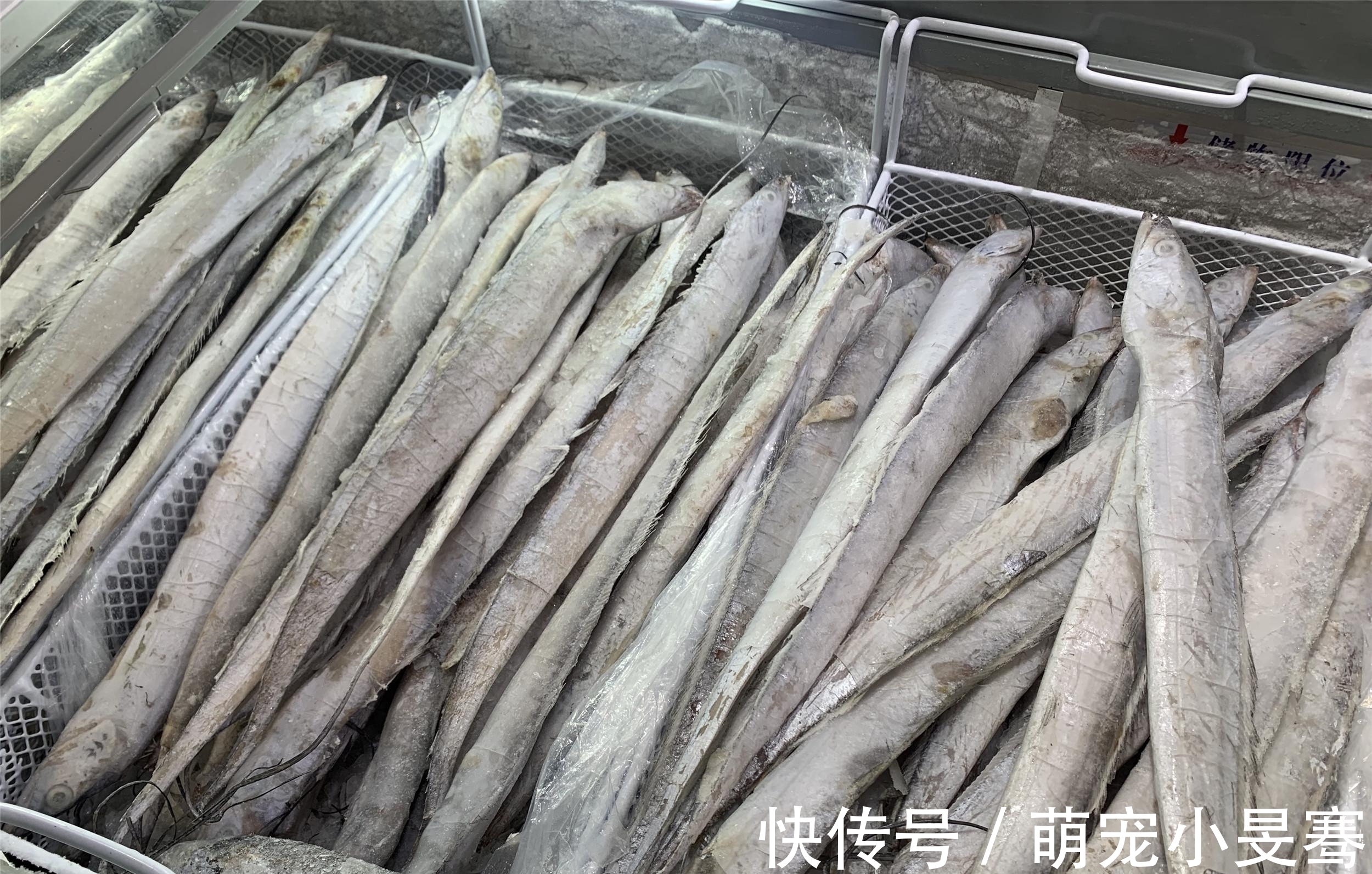 买带鱼时,记住选择“三小一厚”,条条细嫩鲜美,鱼腥味小