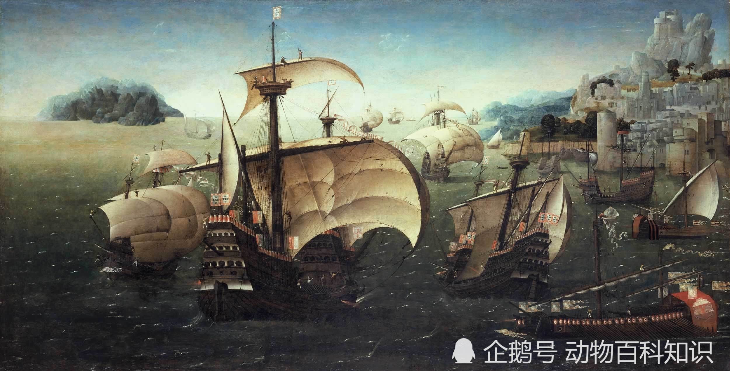 约翰三世|三王之战,葡萄牙为什么输得这么彻底,只回来100多人