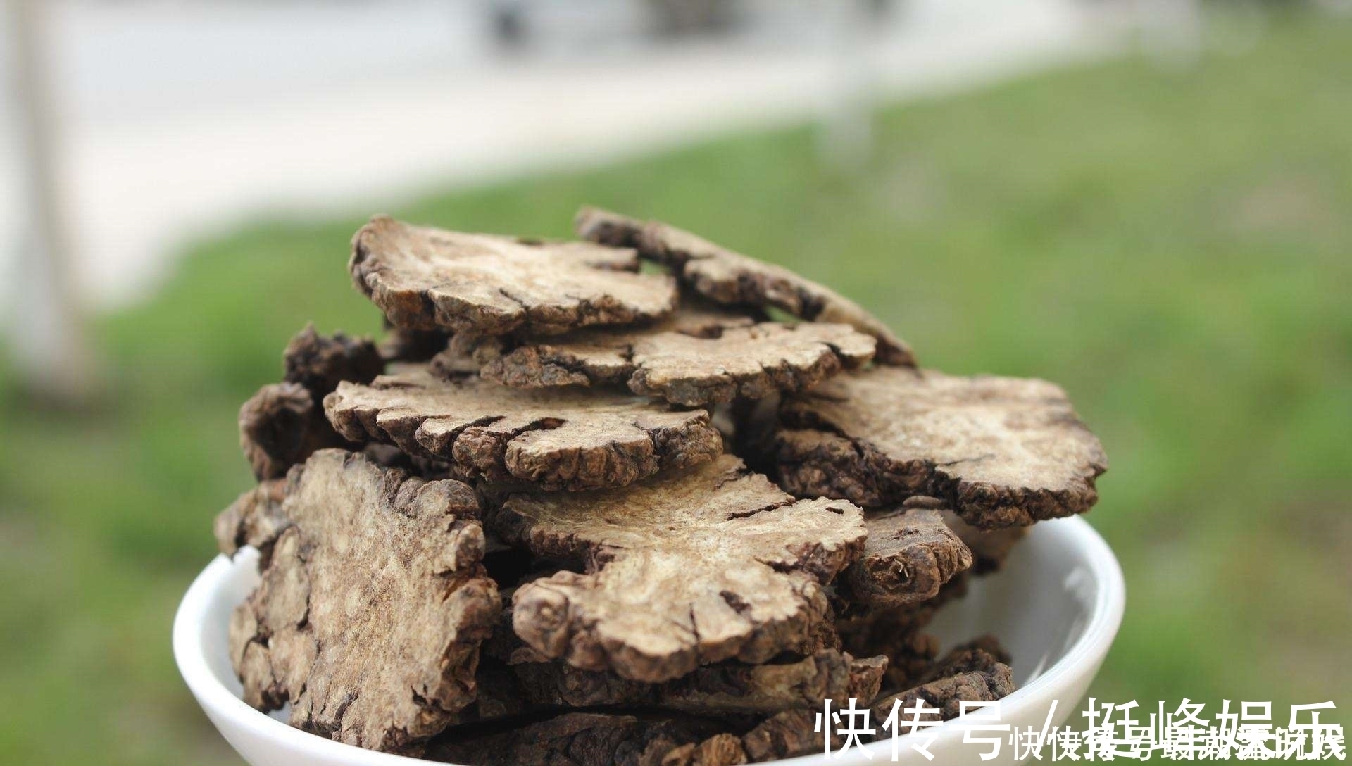 钩藤|千年“妇科第一方”,竟是治疗“高血压”的奇效方剂之一