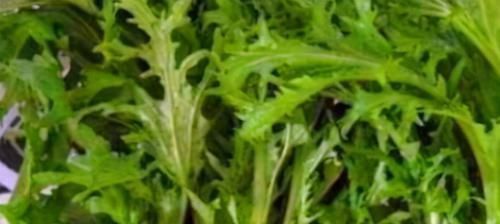 雪里红|会吃的人最健康,常吃三种食物,排毒护肝,减肥消脂,有益健康