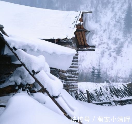 羊肉论斤吃,大葱按捆卖,白菜卡车装,带你瞧瞧啥才叫南北差异