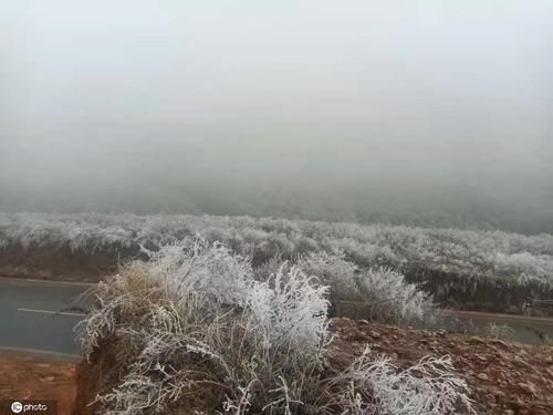 云南大幅度降温 念湖现雾凇宛如玉树琼花