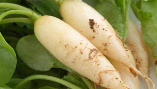 肌肤|想长寿全靠吃，3种食物离不开，排毒养颜，滋润肌肤！