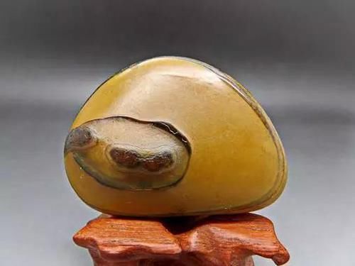 石头|这种石头堪比翡翠,五年时间升值万倍,随便一块可以换套房