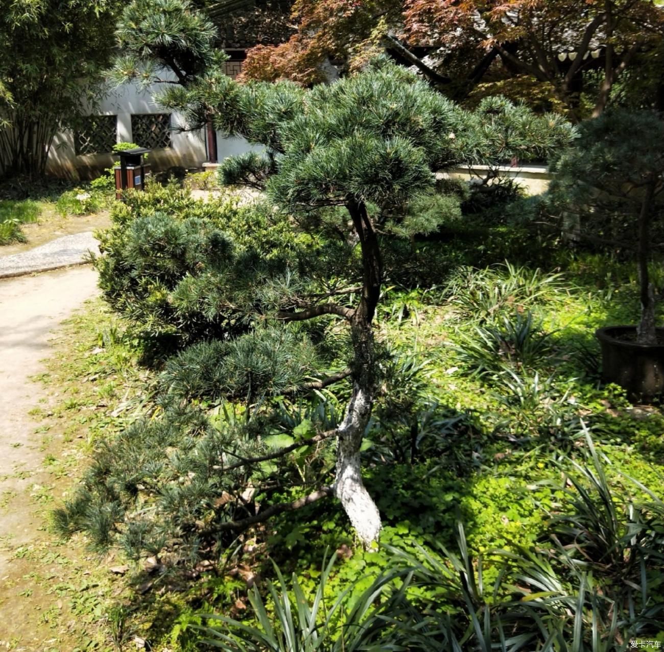 溪流|七溪流水皆通海，十里青山半入城——常熟虞山