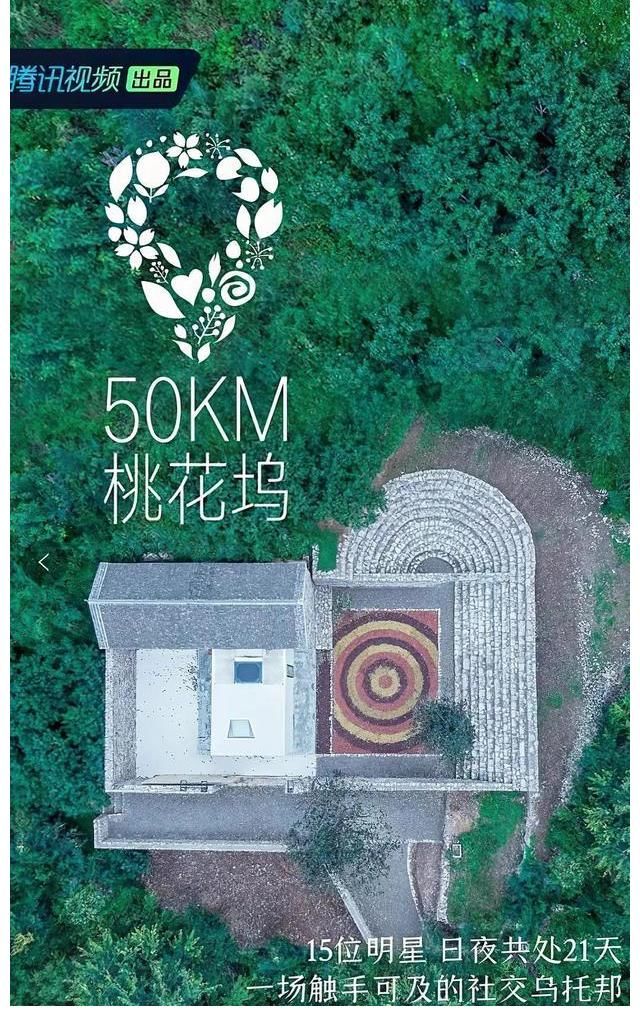 张翰|让人尴尬到脚指头的“社交综艺”，到底在看啥？