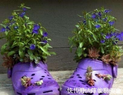 漂亮|这些破烂不要扔，做成“小花盆”，个性又漂亮，比买的强“百倍”！