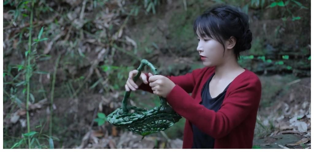 中华文化|外交天团再次点赞河南卫视，《龙门金刚》火到国外，张泽群被打脸