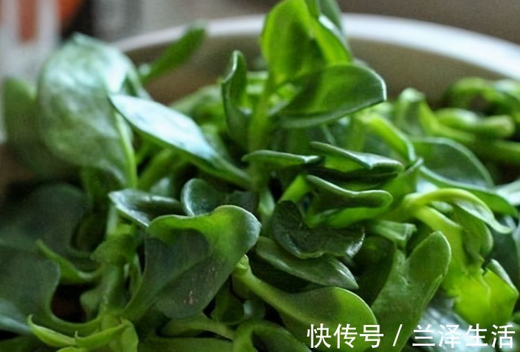 健康长寿|想长寿全靠吃,3种食物不可少,补充营养,身体棒棒哒!