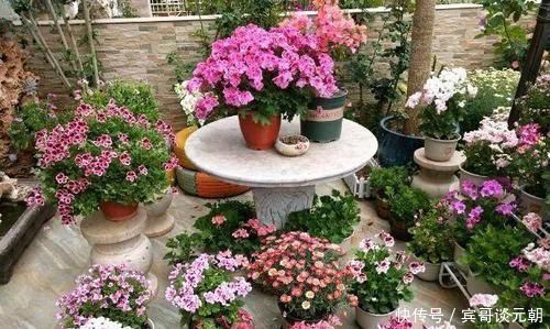 7个绝美花园,个个美炸了天,等有钱了我也要建一个