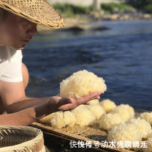 藏在身边的“阿胶”,3块钱能吃一顿,40岁之后多吃补气血!