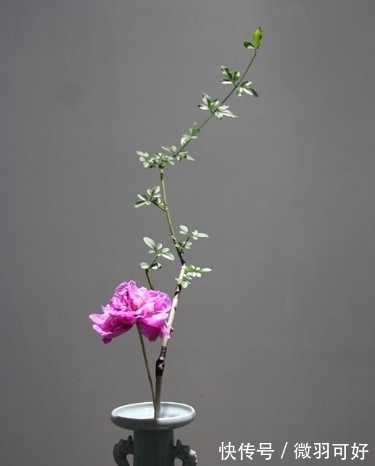 财富|元旦过后运势大涨,财富爆棚,干啥都很顺利三生肖