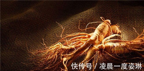 崇祯皇帝|朱元璋规定禁止皇室成员吃人参,崇祯直到上吊之前才明白其深意