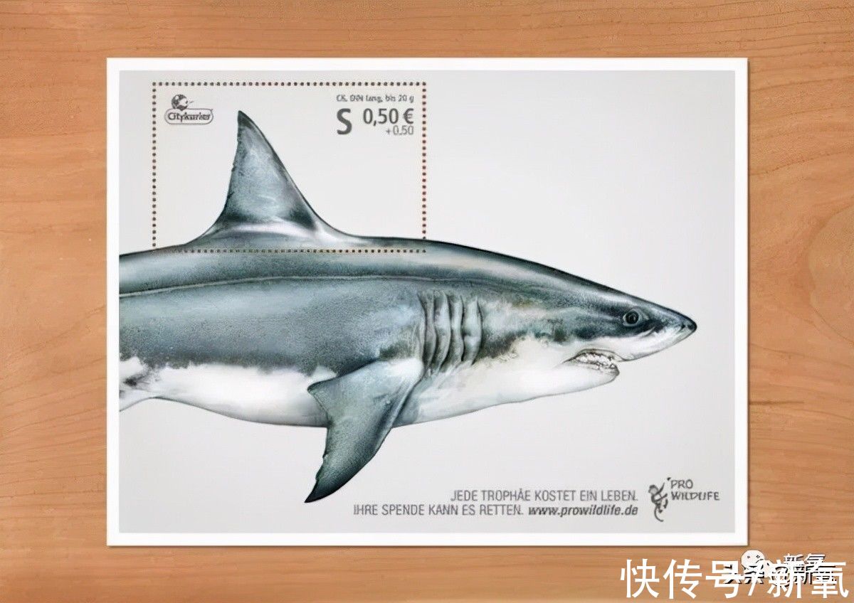 中秋节$《斛珠夫人》开播，我却被邮票吸引