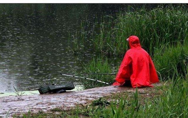 钓鱼窝料投掷了不少,怎么判断发窝了呢