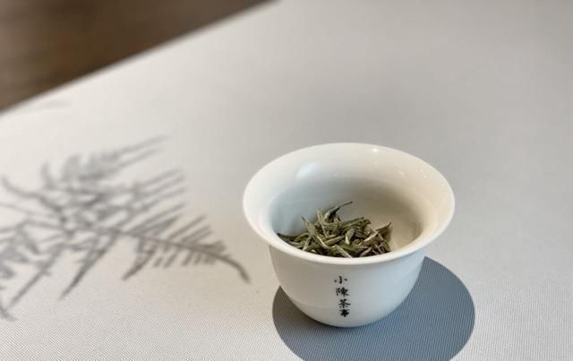 备受|白毫银针备受误解的3个表现,有人避之不及,但老茶友却只爱喝它