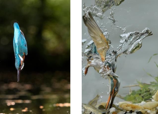 水漂 嫦娥五号在线教你如何打出完美“水漂”