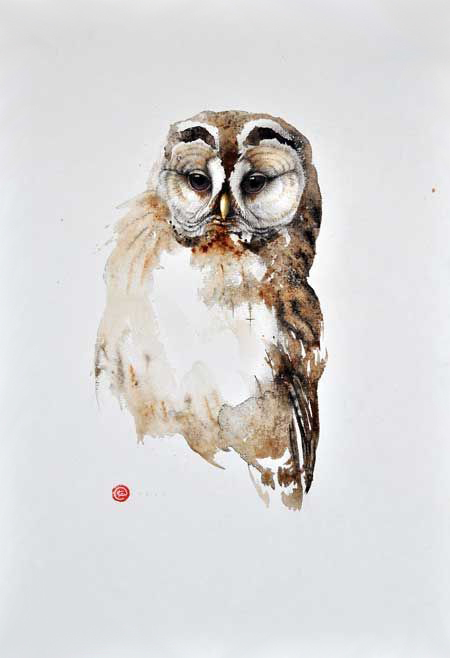 水彩艺@水彩艺术家卡尔·马尔滕斯画的鸟,惟妙惟肖!