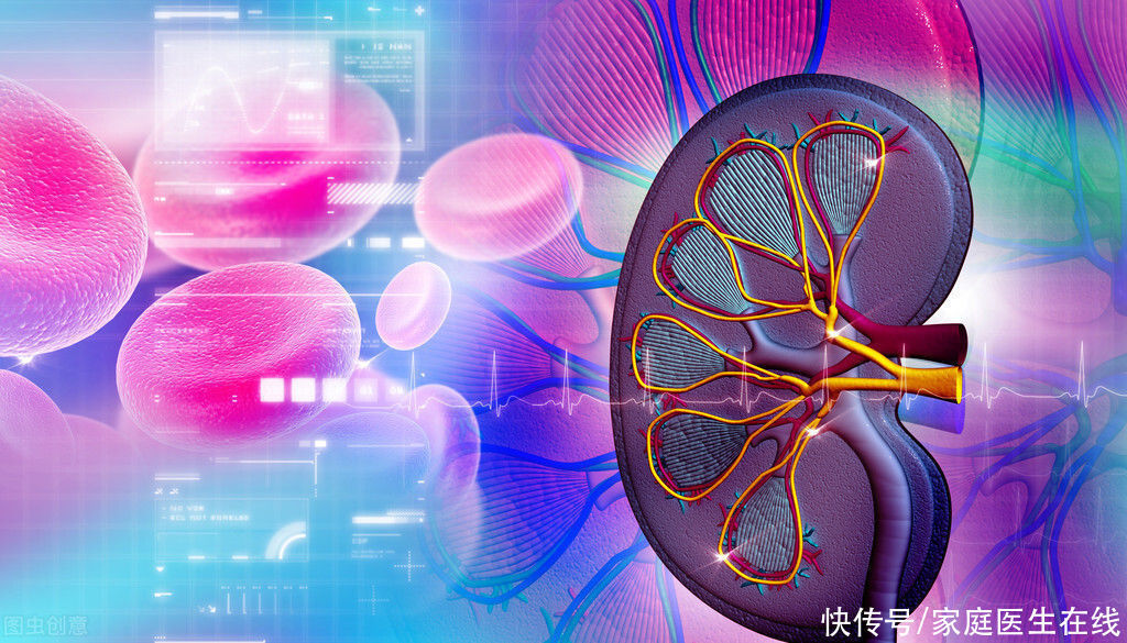 肾脏|为何尿毒症增长迅速?这些因素是伤肾的“祸首”,做好预防是关键