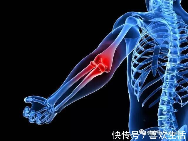 髋部|难怪他健身从不受伤,看完秒懂怎样保护膝盖、手肘、背部了!