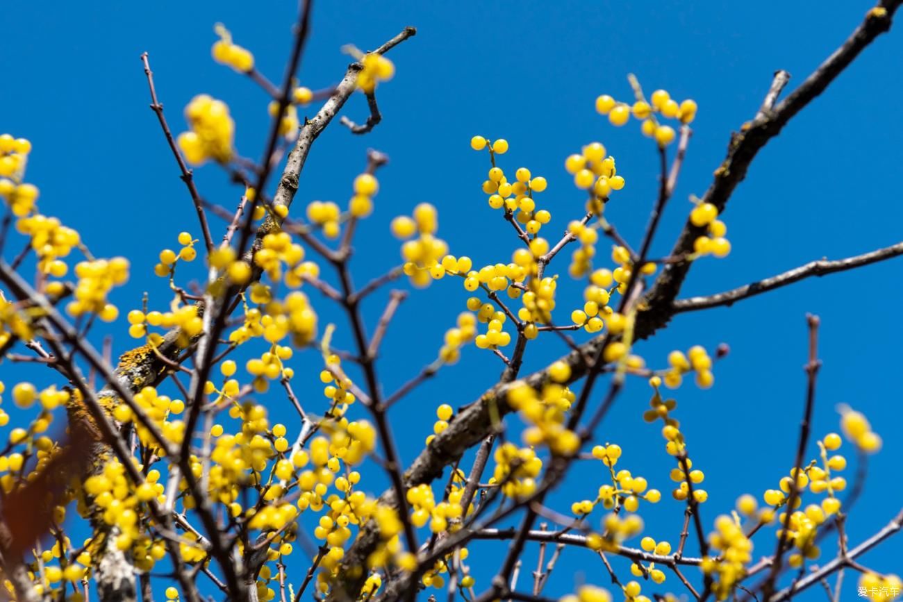 六人行|诗意 · 江湖,六人行