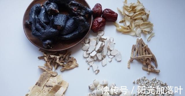 当归|滋补身体首选汤品药膳乌鸡,滋阴润燥,补中益气!