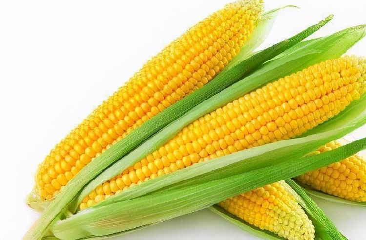 適合女性吃的3種食物，值得吃一些，補(bǔ)充營養(yǎng)，有益健康！