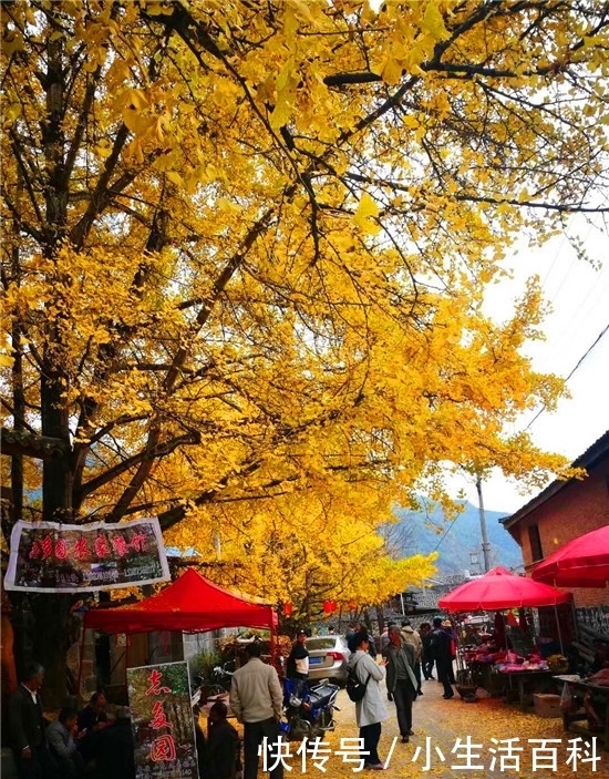  旅行|秋天你最想去什么地方旅行？