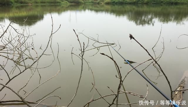 溶氧量|没有水草就不能钓鱼了吗根据这4点来找鱼，下竿之处即咬钩