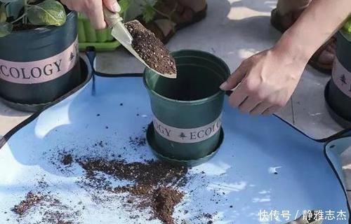 养分|养花换盆:废弃的旧土怎么处理?掺入这3样东西,可再次使用