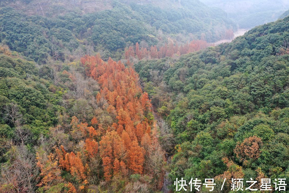 水库|淹没四十多年的古村遗址，重见天日，红杉林隐秘而迷人