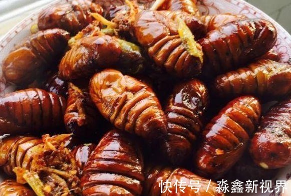 蜂蛹|5物是天然“雄性激素”，男性多吃，补肾益精，更有魅力