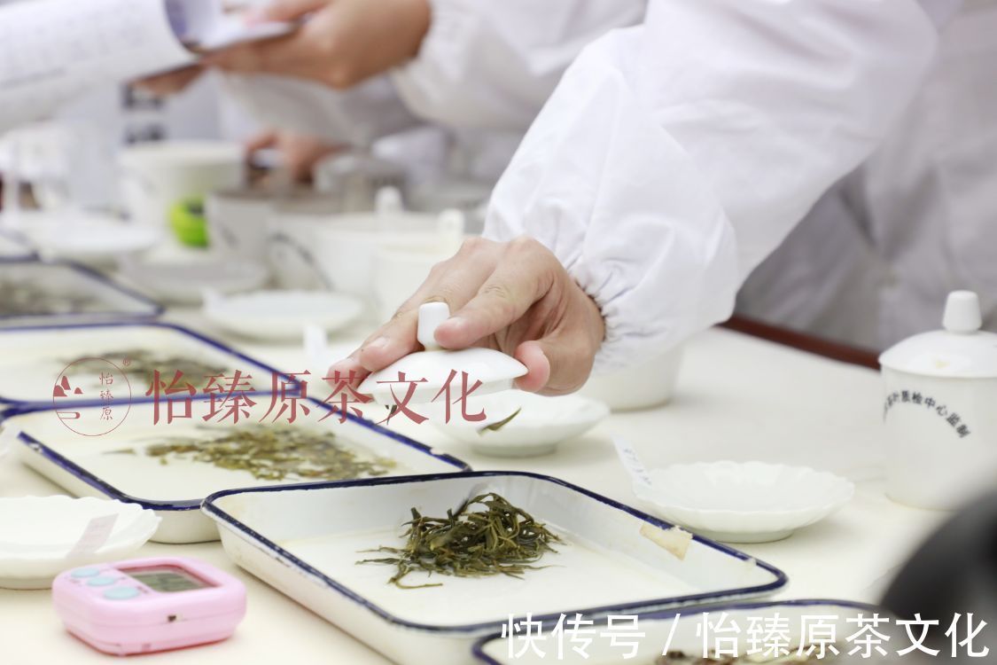 评语|绿茶科普：喝茶时常用到的评茶术语，爱茶人必备知识