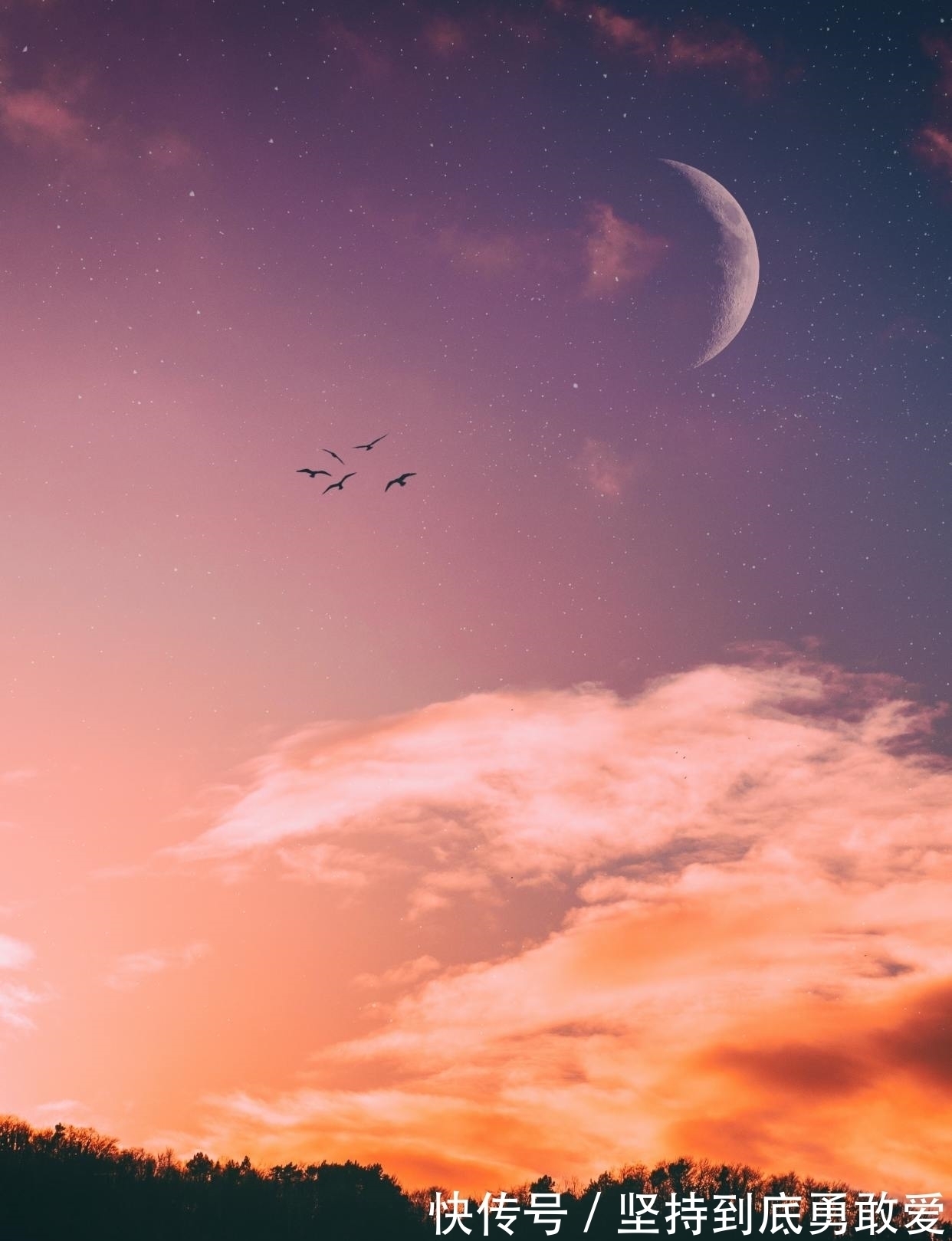 戴建业@白居易酒后写的一首哲理诗,短短28字温暖人心,送给消沉的你