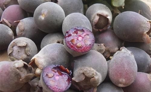 碳水化合物|女性担心满脸皱纹,可以多吃3种食物,补充营养,有益健康