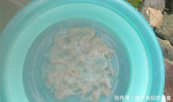 寒冬时节钓鲫鱼,对饵料要求极高,满足了这4点,大鲫鱼连竿上!