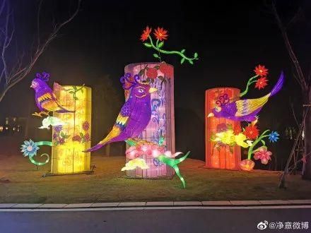 洗肺|美得不可方物!夜荆州......