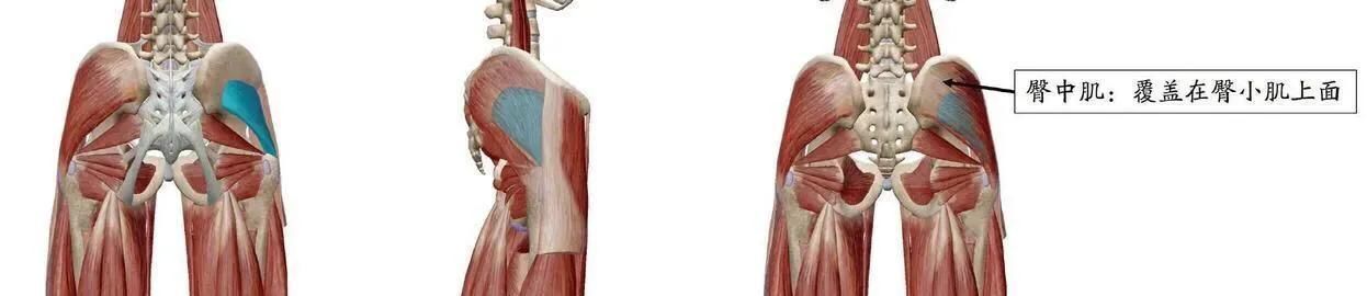 身材|女子健美冠军，用身材向你证明，女性健身只会让你更好看