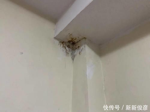 房子|楼层该如何选择?置业顾问:除了常见的3层,还要避开这些楼层