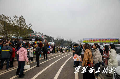 解密潼南的陈抟故里景区，来这里观赏油菜花海已成了水陆空全覆盖