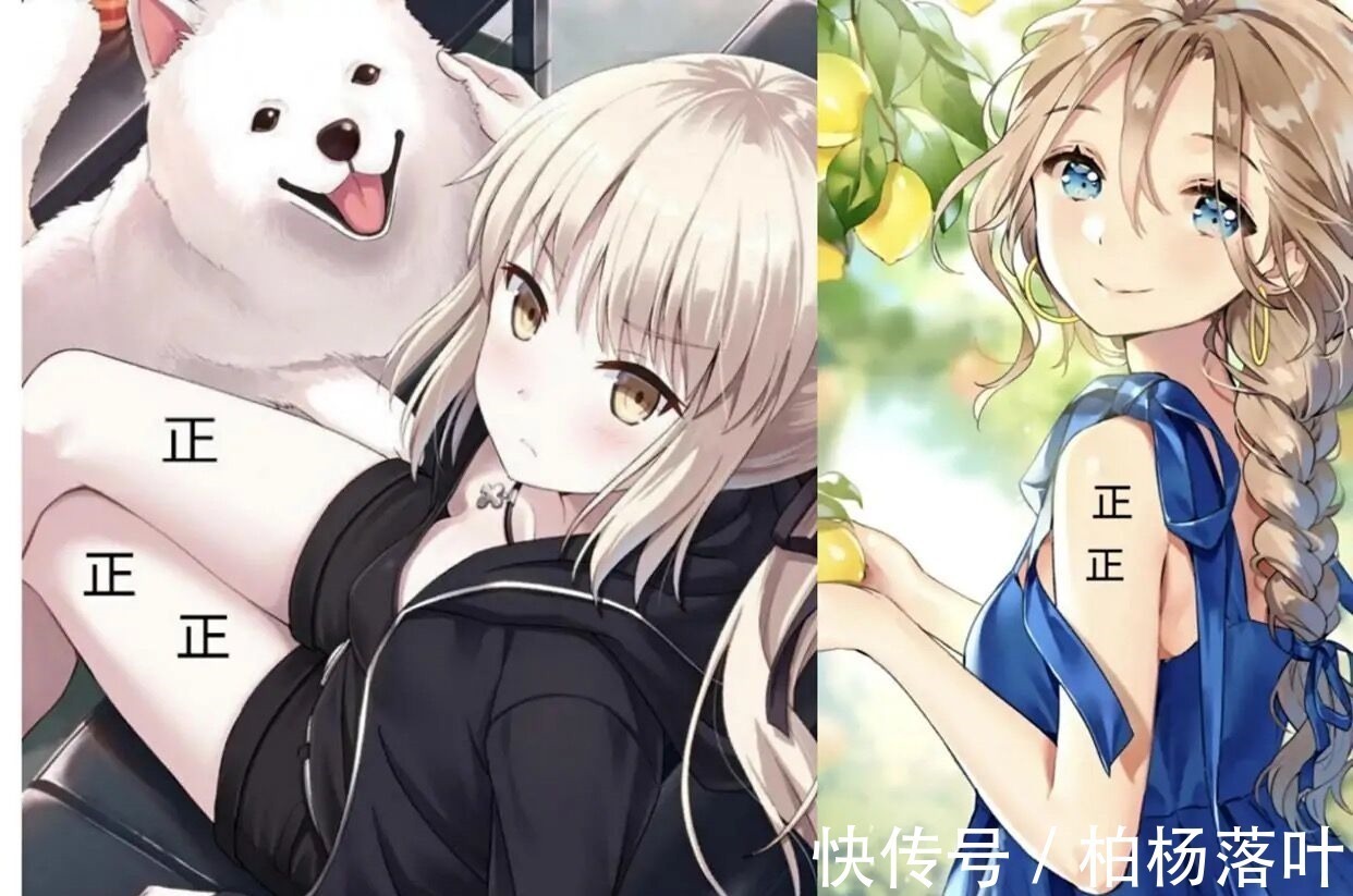 手办|动漫圈的宅男能有多不可思议在老婆身上画正字,代表自己的次数