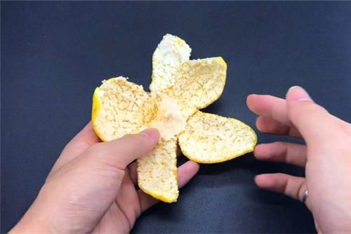 橘子皮和生姜泡水，真是厉害了，解决了不少人的难题，省钱又实用