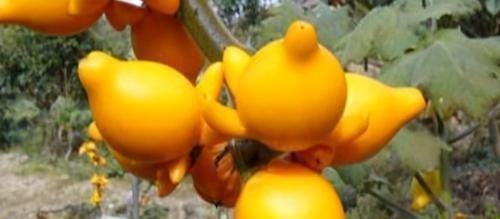 女性到了中年,常吃3种食物,美容护肤,排毒清肠,越吃越年轻