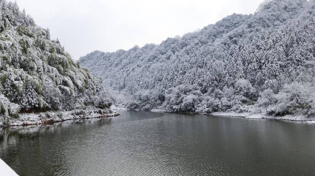 雾凇|再现雾凇美景 四川古蔺红龙湖森林公园银装素裹宛若仙境