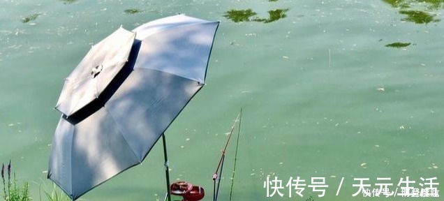 水草|秋分前后钓鱼,想爆护一点都不难,老钓手都爱这样钓,你也可以