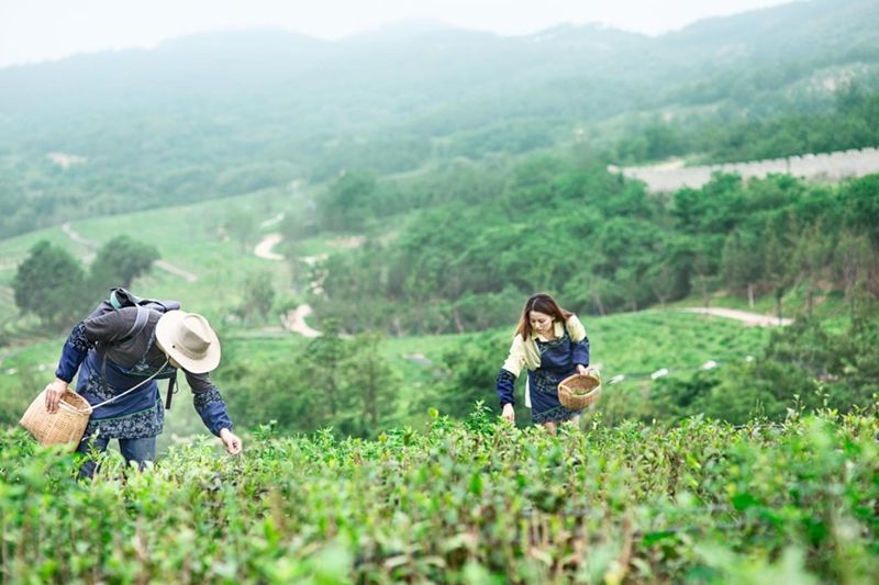 中信书店|青岛文旅再添新名片 阿朵小镇打造中国文旅小镇标杆