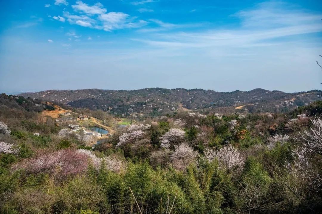 老年|信阳市光山县一景色被央视点赞