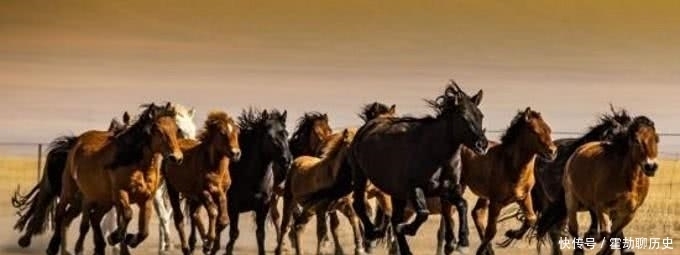 大宛|汉武帝从西域引进“天马”,或被后世工匠捕捉,成就国宝级文物