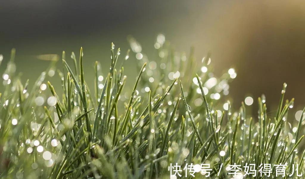 寒性体质|三伏，一年一次彻底排寒的机会